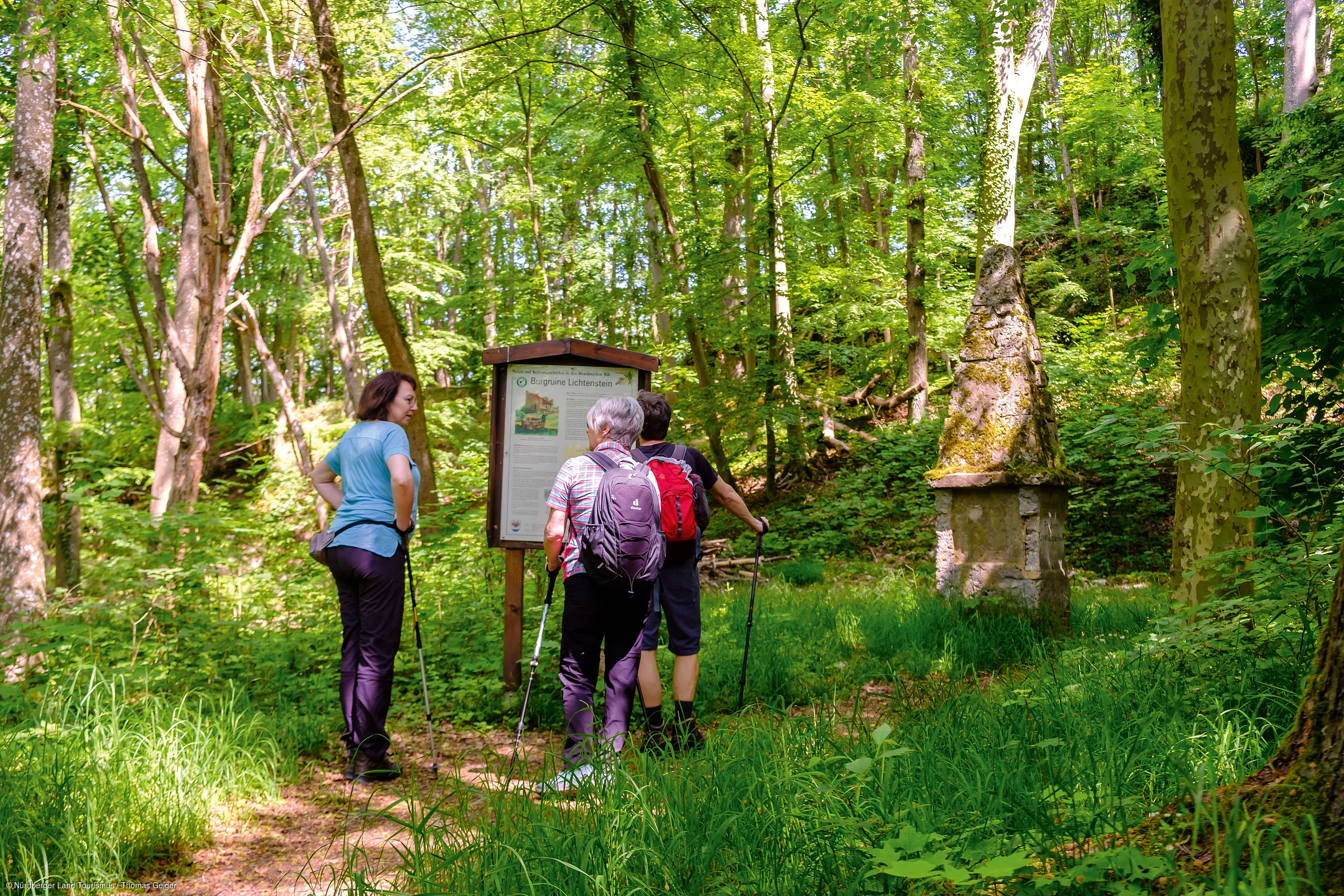 Drei Wanderer mit Rucksäcken lesen eine Infotafel im grünen Wald auf einem schmalen Weg.