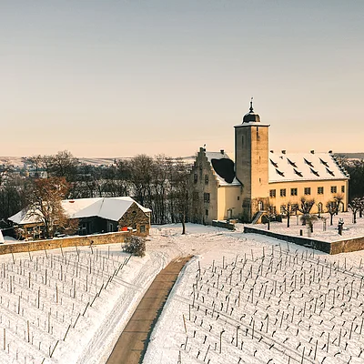 Schneebedecktes Schloss mit Turm und umliegenden Weinbergen im Winter bei Sonnenuntergang.