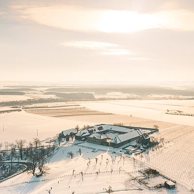 Luftaufnahme eines verschneiten Bauernhofs mit Feldern und Bäumen bei Sonnenlicht im Winter.