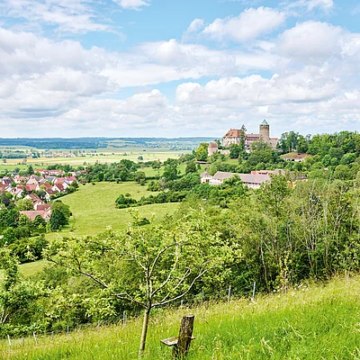 Blick auf eine grüne Landschaft mit Bäumen, Wiesen, einem Dorf mit roten Dächern und einer Burg auf einem Hügel.