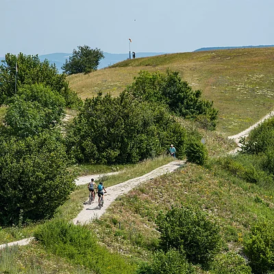 Zwei Radfahrer auf einem geschwungenen Weg durch grüne Hügel mit Büschen und Bäumen.