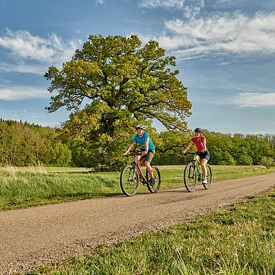 Zwei Personen fahren mit Fahrrädern auf einem Weg durch eine grüne Landschaft mit Bäumen und blauem Himmel.