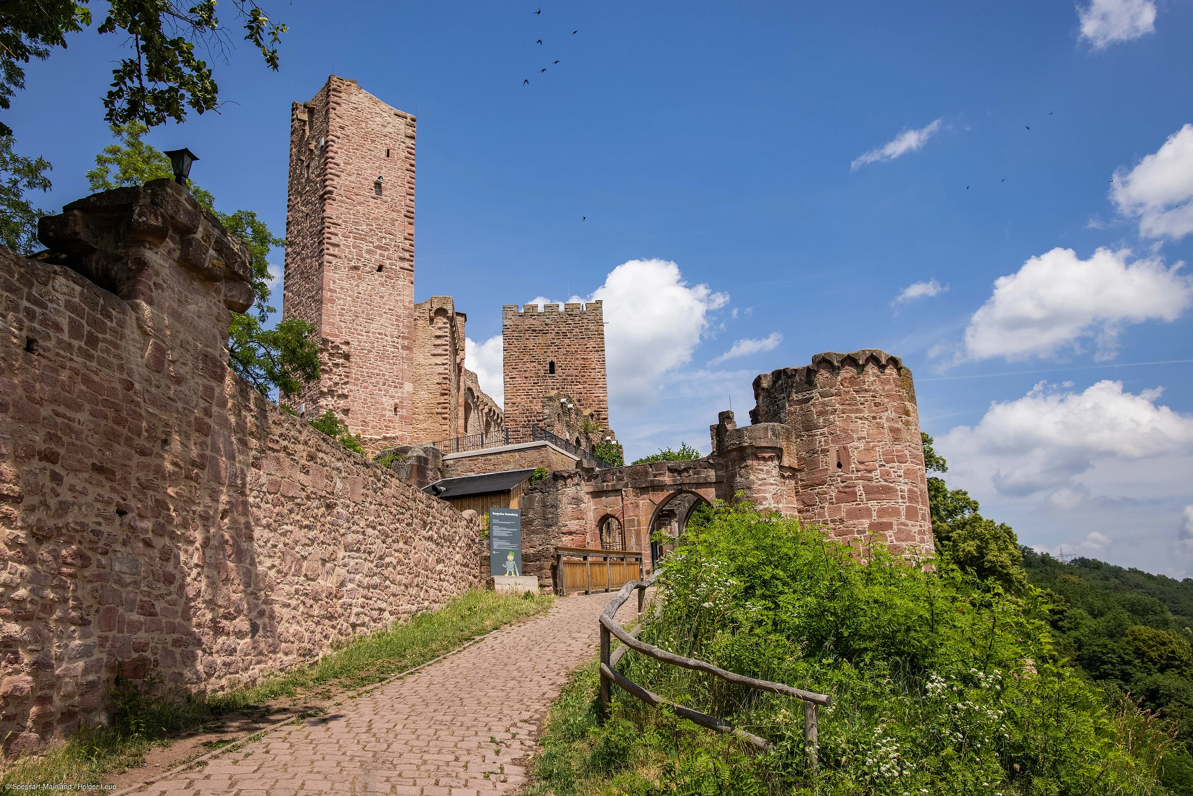 Burganlage aus rotem Stein mit Türmen, Torbogen und Weg, umgeben von Grün unter blauem Himmel.