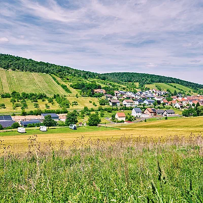 Blick auf ein Dorf mit Häusern, Feldern, Wiesen und bewaldeten Hügeln unter bewölktem Himmel.
