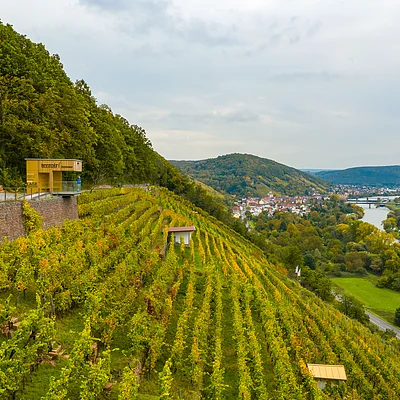 Weinberg an einem Hang mit zwei Holzhäusern, Fluss und Stadt im Hintergrund unter bewölktem Himmel.