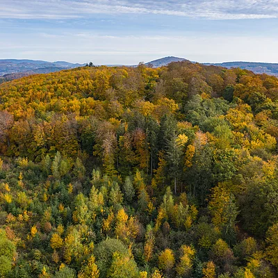 Luftaufnahme eines bewaldeten Hügels mit herbstlich gefärbtem Laub unter bewölktem Himmel.