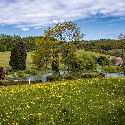 Wiese mit gelben Blumen, Bäumen, Teich und Häusern unter bewölktem Himmel in ländlicher Umgebung.