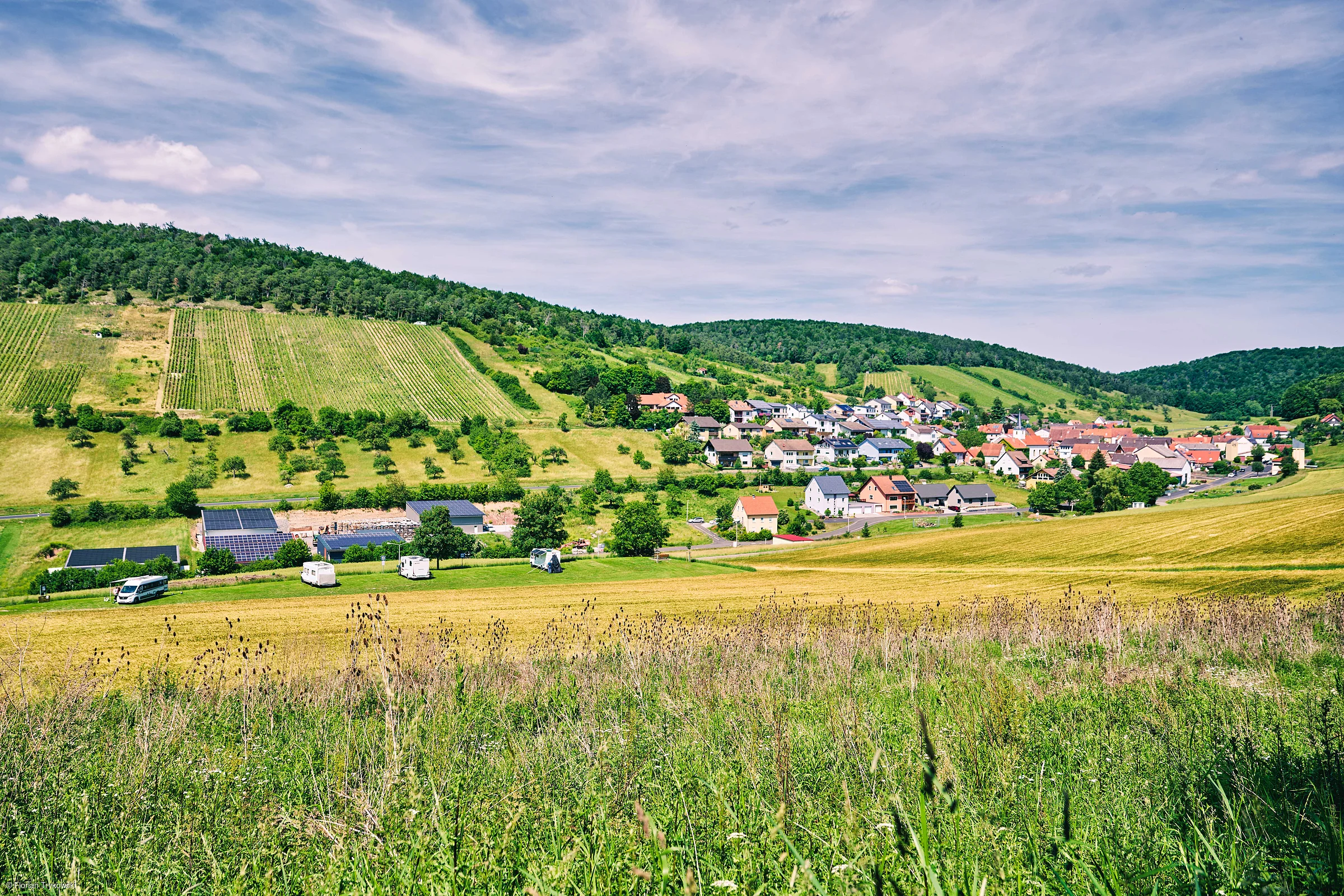 Blick auf ein Dorf mit Häusern, Feldern, Wiesen und bewaldeten Hügeln unter bewölktem Himmel.