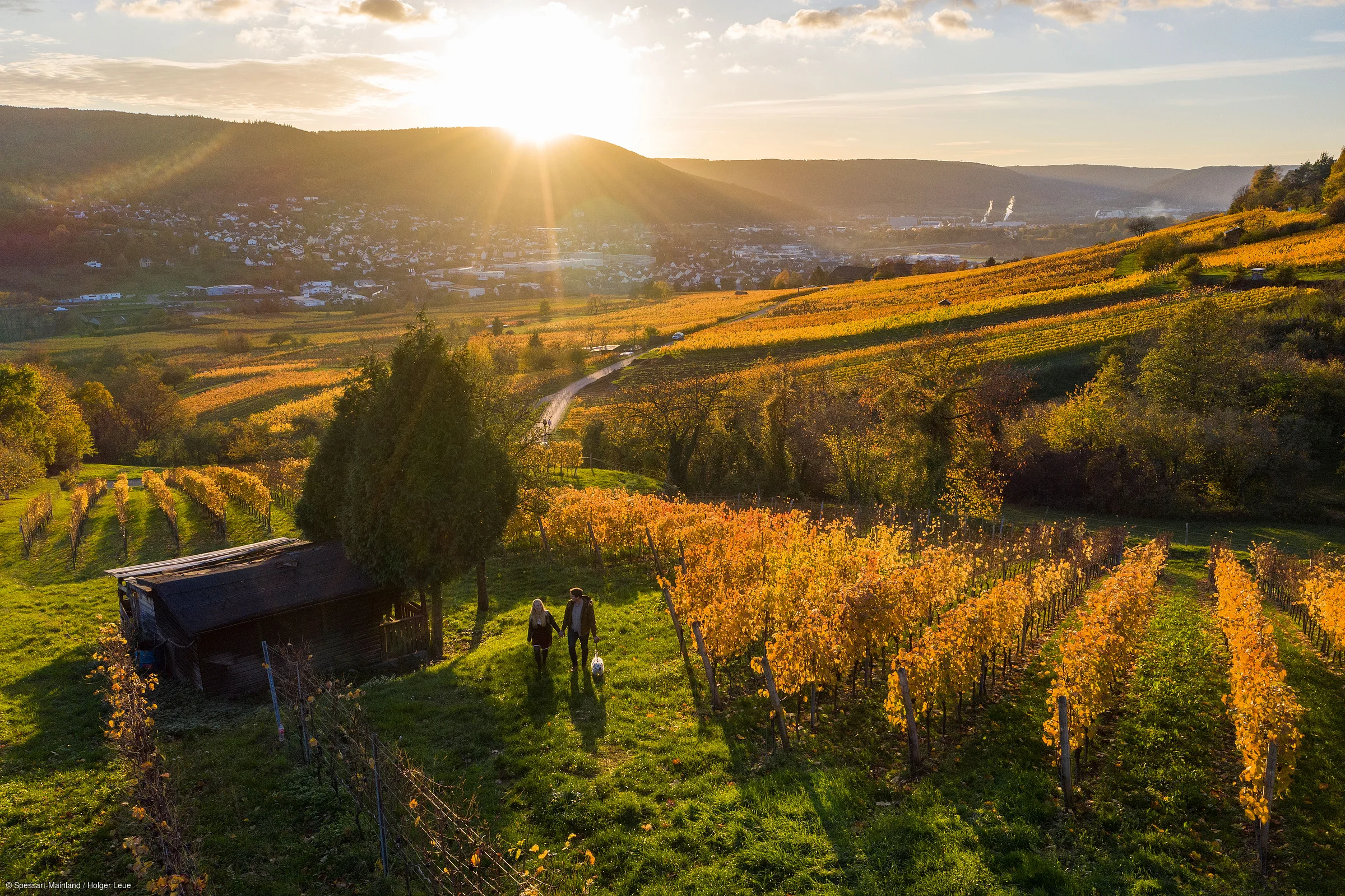 Sonnenuntergang über herbstlichen Weinbergen mit zwei Personen und Hund auf einem Weg neben einer Holzhütte.