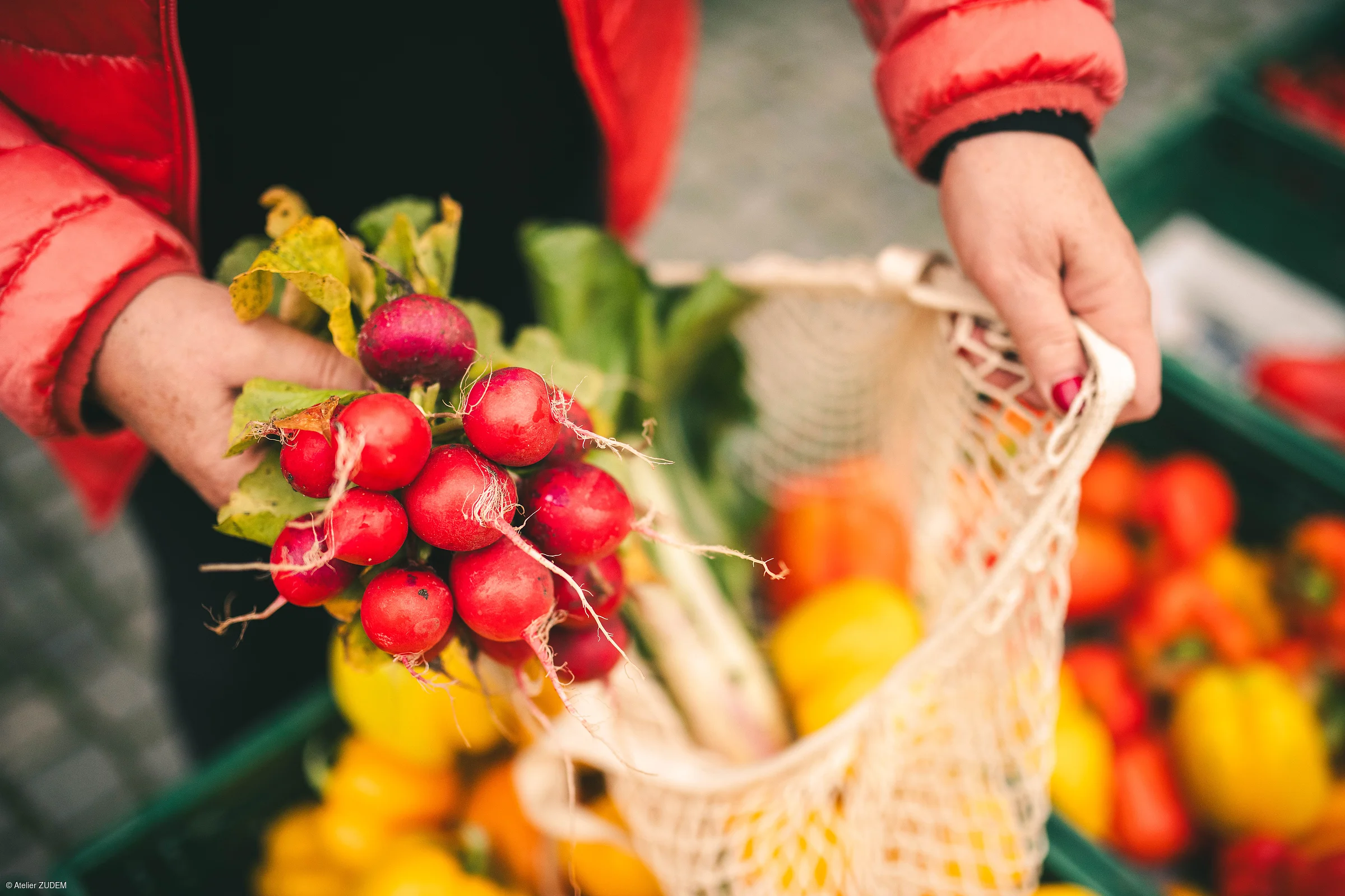 Person hält einen Bund Radieschen über eine Netztasche mit anderem Gemüse auf einem Markt.