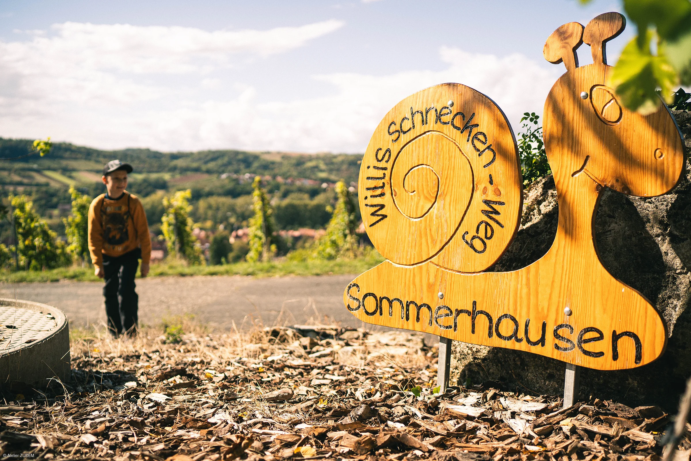 Holzschild in Schneckenform mit der Aufschrift „Willis Schnecken-Weg Sommerhausen“ neben einem Weg, im Hintergrund ein Junge und Landschaft.