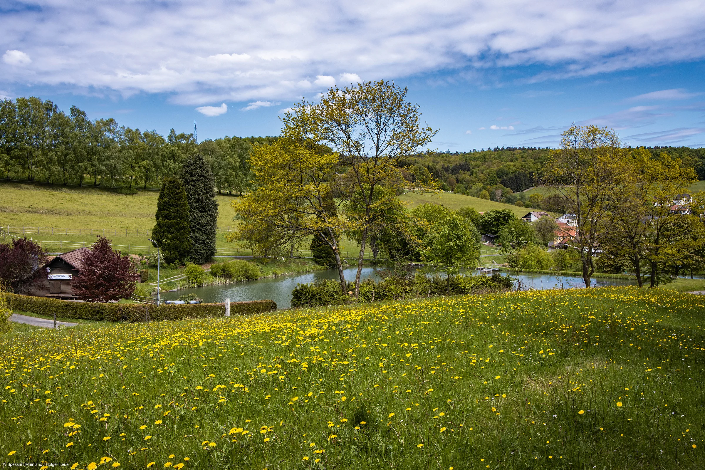 Wiese mit gelben Blumen, Bäumen, Teich und Häusern unter bewölktem Himmel in ländlicher Umgebung.