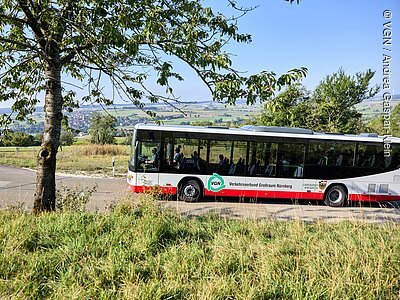 Bus des Verkehrsverbunds Großraum Nürnberg fährt auf Landstraße in ländlicher Gegend mit Baum und Wiese im Vordergrund