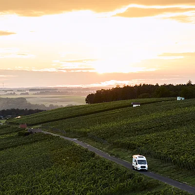 Weingut Schlör in Reicholzheim, Taubertal, Baden-Württemberg, Deutschland