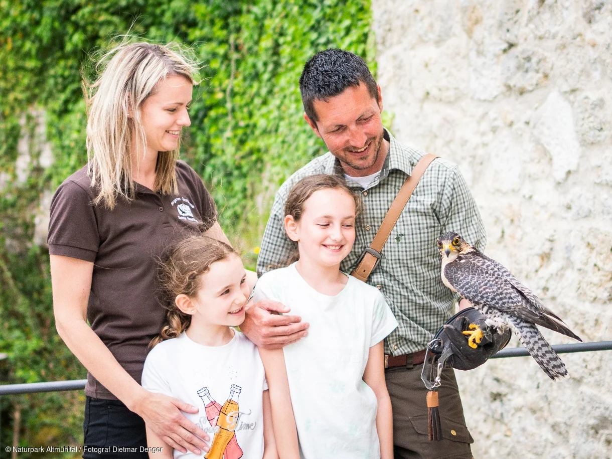 Rosenburg, Riedenburg, Falknerfamilie Bühler mit Flugshow