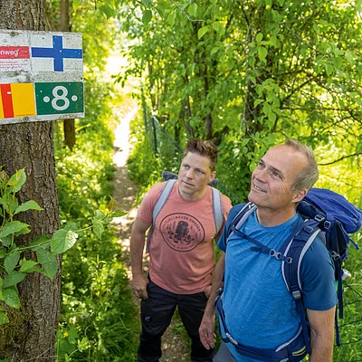 Zwei Männer mit Rucksäcken schauen auf ein Wegschild am Baum im grünen Waldweg.