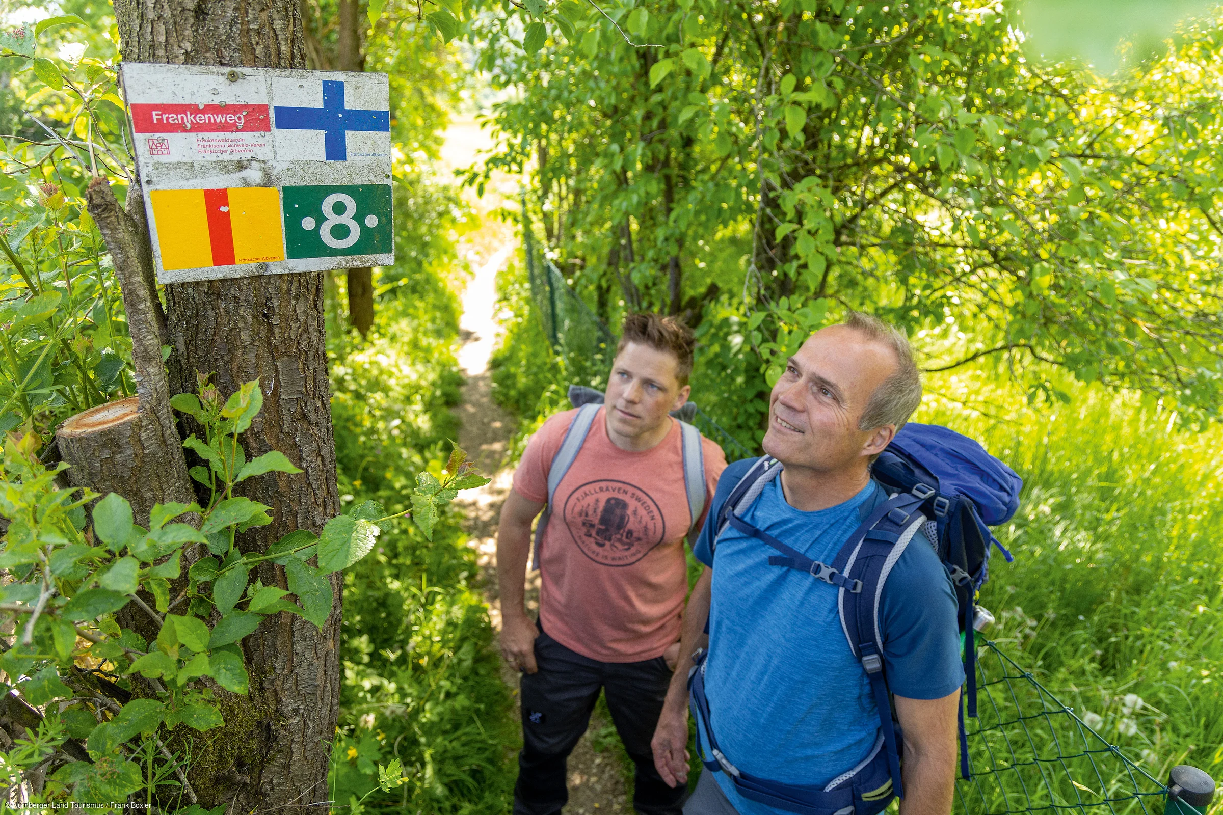 Zwei Männer mit Rucksäcken schauen auf ein Wegschild am Baum im grünen Waldweg.
