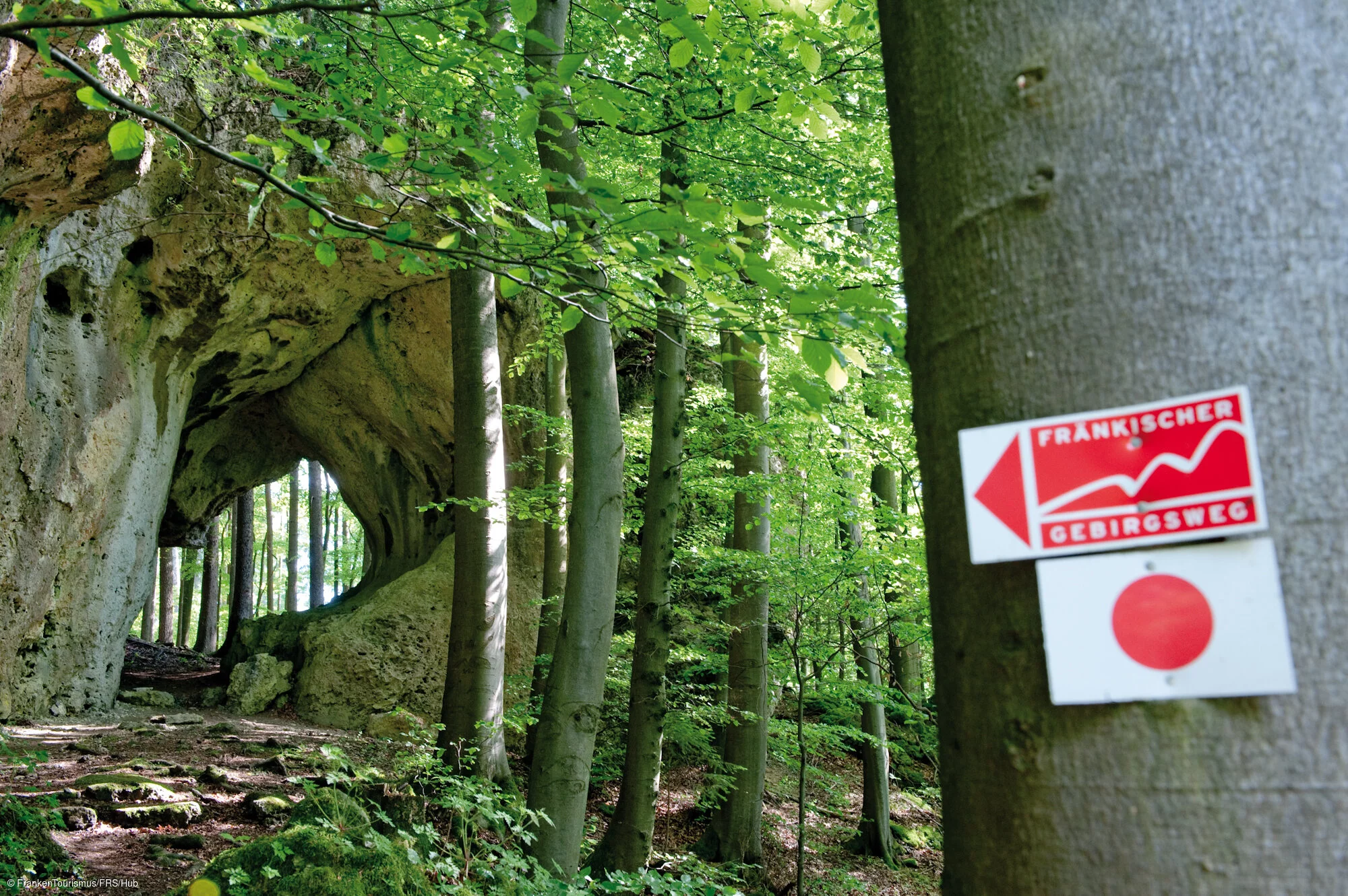 Markierung "Fränkischer Gebirgesweg" bei Betzenstein (Fränkische Schweiz)