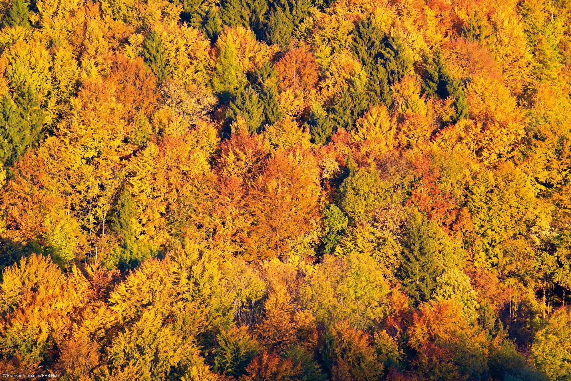 Burg Egloffstein, Blick aufs Trubachtal