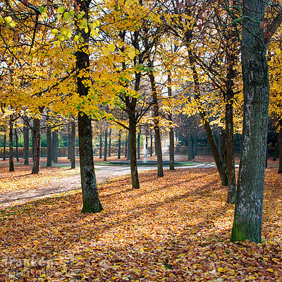 Hofgarten im Herbst (Ansbach, Romantisches Franken)